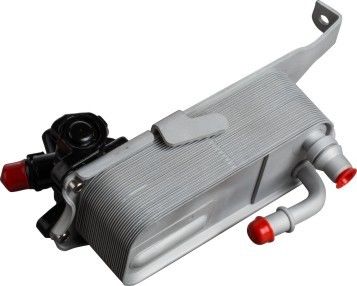 Qualité  17217600553 BMW Oil Cooler Replacement Bmw Car Parts For BMW 230i 328I N20 usine