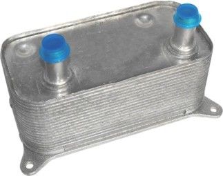 Cooler à huile VW haute performance 07C117037 large zone de transfert de chaleur pour VW Phaeton 3D