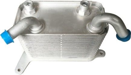 3D0409061G Vw refroidisseur d'huile externe pour le moteur Volkswagen Phaeton